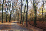 Grote Looweg